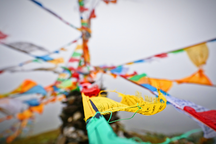 tibet festival tour