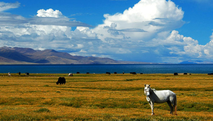 The fascinating scenery in Namtso