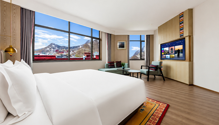 Business suite in Samdrutse Hotel