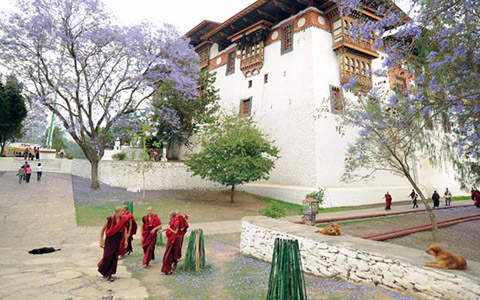 When is the Best Time to Visit Nepal, Tibet and Bhutan Together?