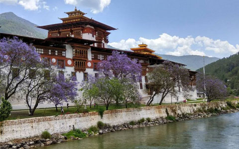 Are Tibet and Bhutan the Same? Should I Visit Tibet or Bhutan?