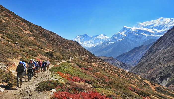 Nepal trekking experience in the Himalayas