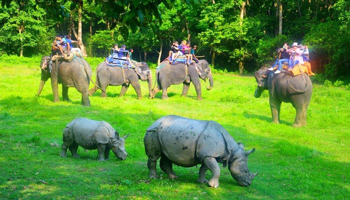 Chitwan National Park is very popular for the tourists