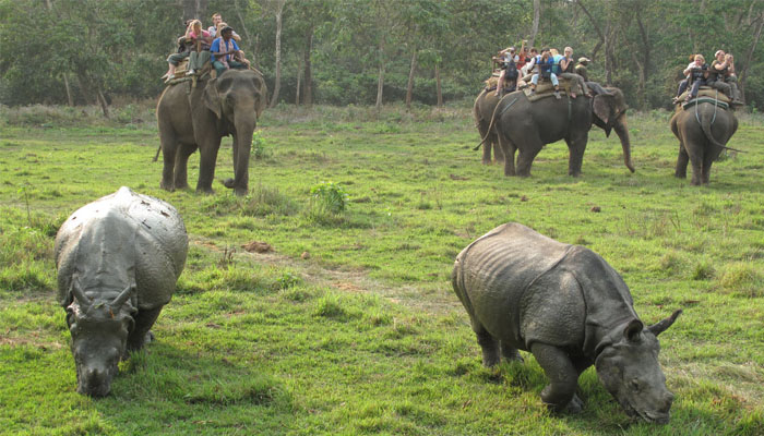 Chitwan Safari Park