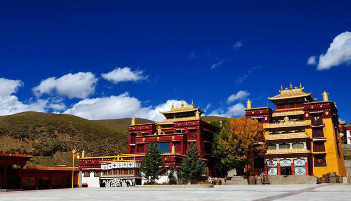  Changqingchunke in the Tibet 