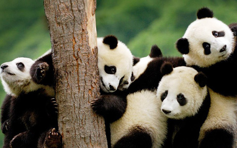 Overland Trip from Sichuan to Tibet