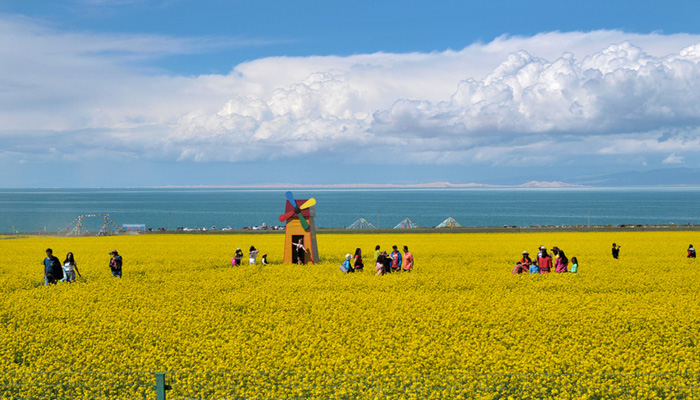 Visit Qinghai Lake in Spring