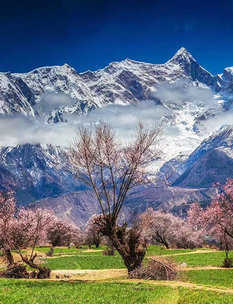 Mount Namjagbarwa