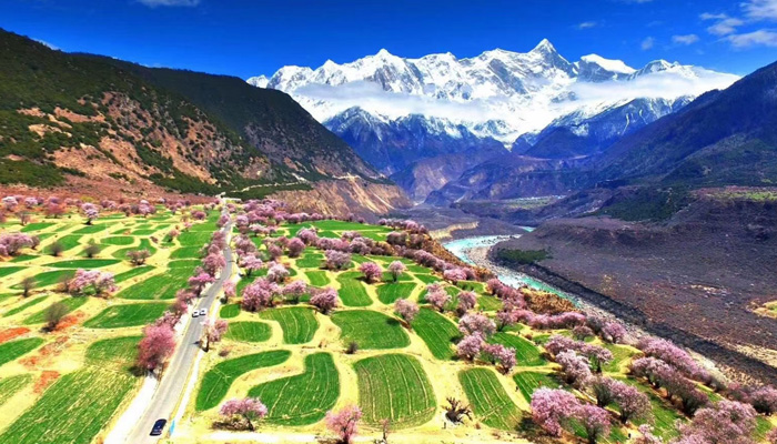 Mount Namgyapawa and blooming peach blossoms