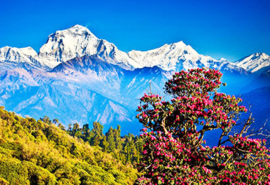 Stunning panoramic views of Himalayan peaks from Pokhara