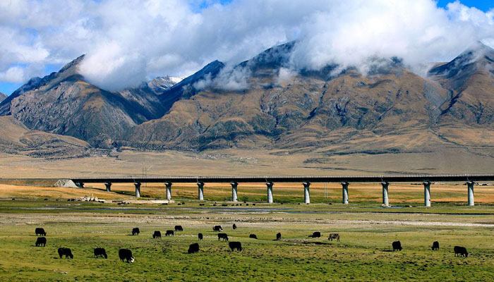 Tibet train