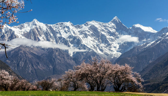 Mount Namjagbarwa