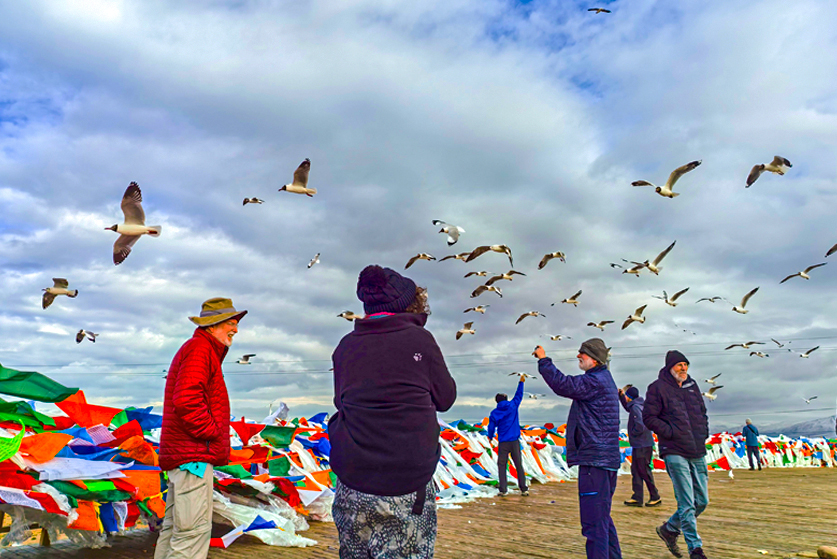 tibet birding tour