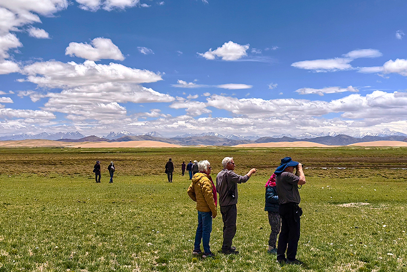 tibet birding tour