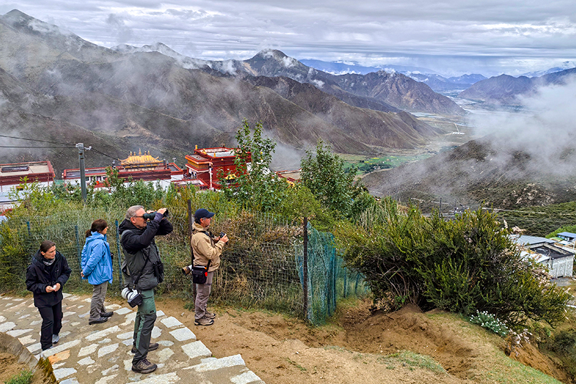 tibet birding tour