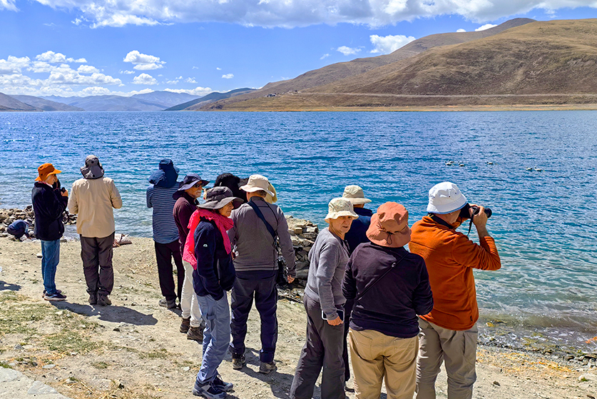 tibet birding tour