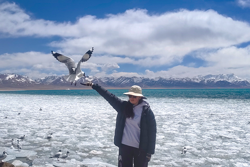 tibet birding tour
