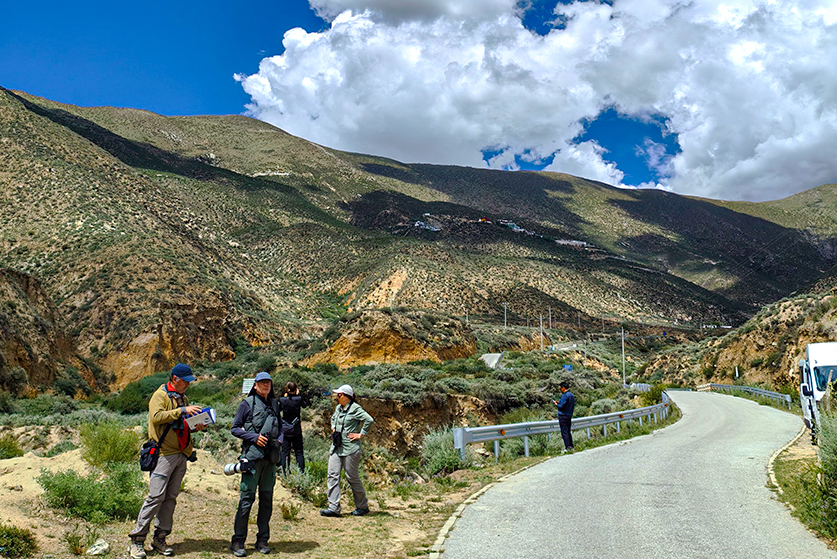 tibet birding tour
