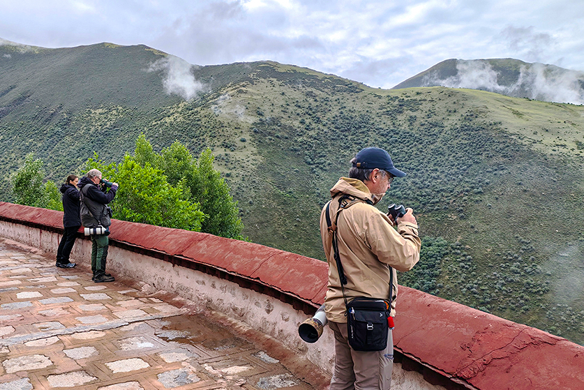 tibet birding tour