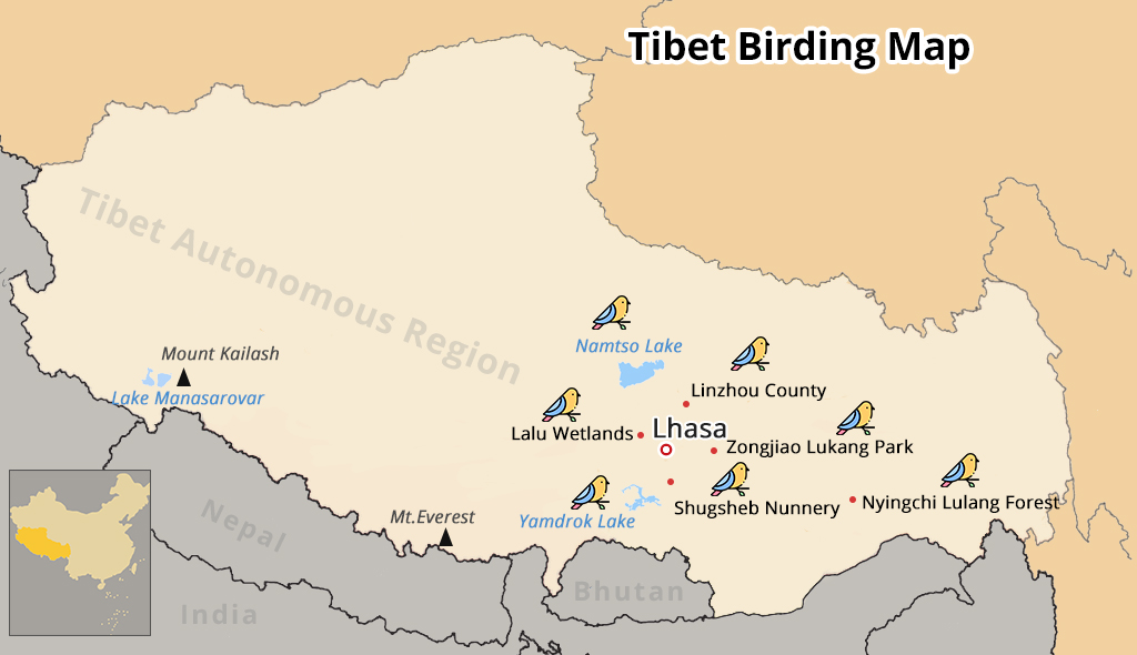 tibet birding map