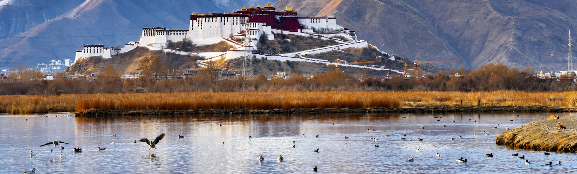 Tibet Birding Tours