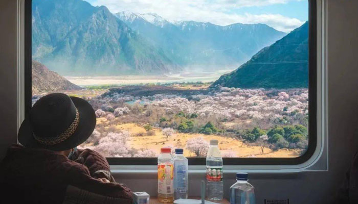 The Nyingchi to Lhasa Railway