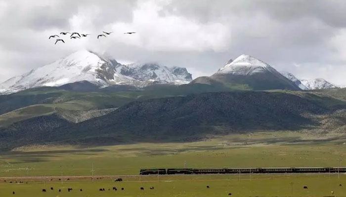 Qinghai-Tibet Train