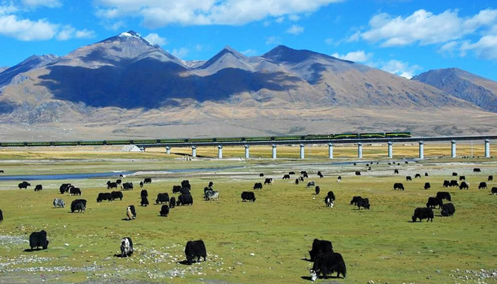 Qinghai-Tibet Railway