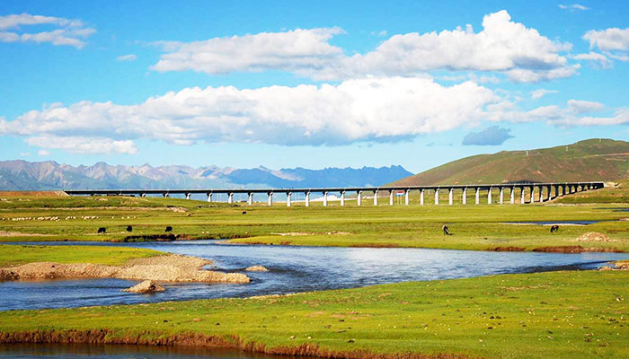 Qinghai Tibet Railway Scenery