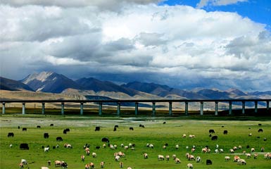 Which Train Route Should I Choose to Travel from China to Tibet?