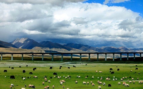 Which Train Route Should I Choose to Travel from China to Tibet?