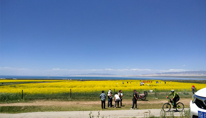 Visit Qinghai Lake