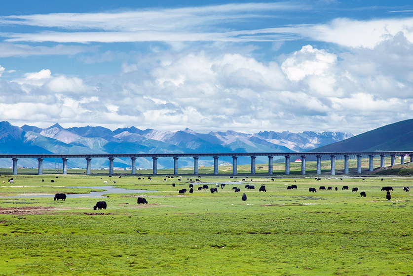 tibet train