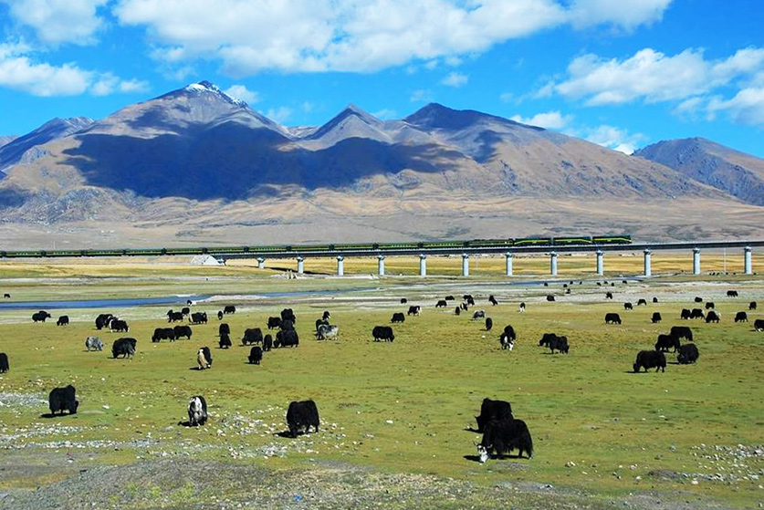 tibet train