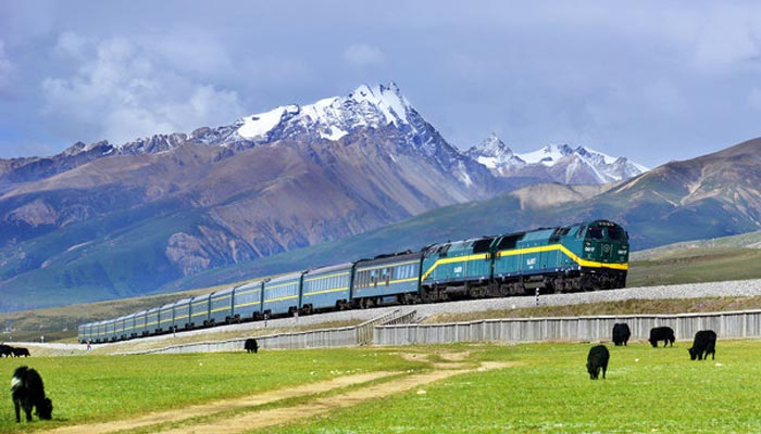 Scenery along the railway