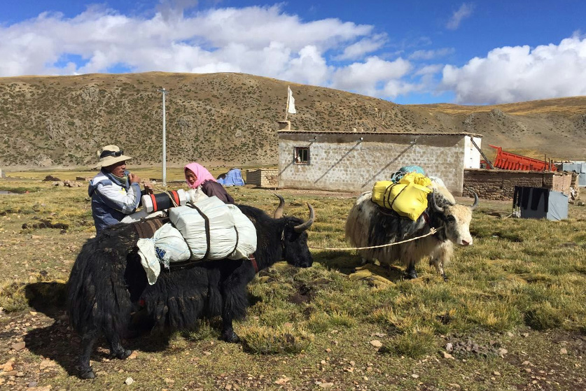 tibet trekking