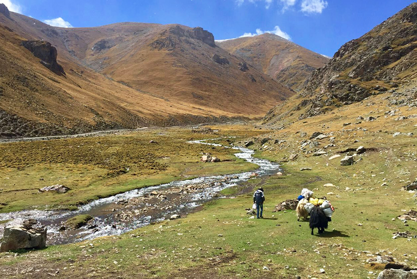 tibet trekking
