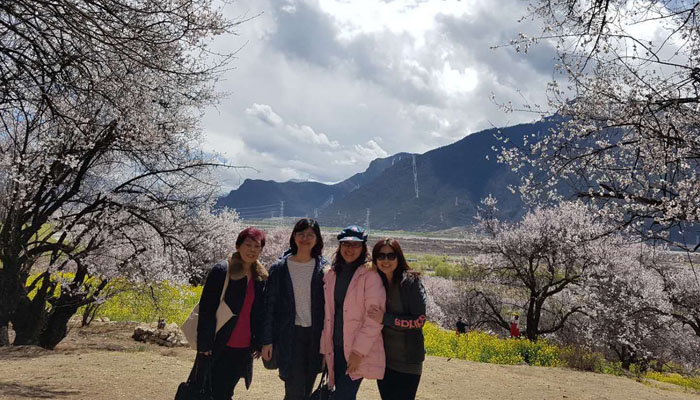 Nyingchi peach blossoms tour
