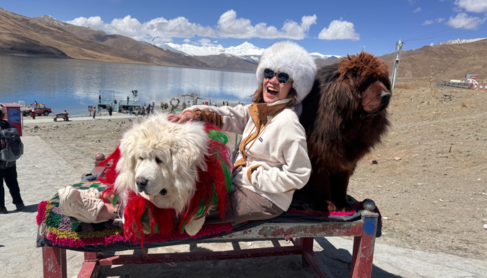 Tibetan mastiff at the Yamdrok Lake