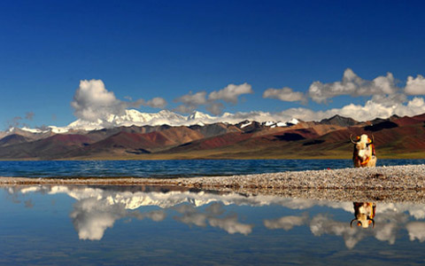 6 Days Essences of Lhasa and Lake Namtso Small Group Tour