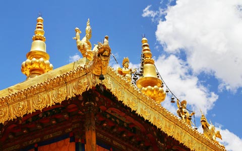 6 Days Tibet Classic Tour with Yangpachen