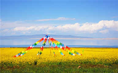 tibet tour