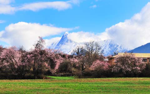 Eastern Tibet Tours