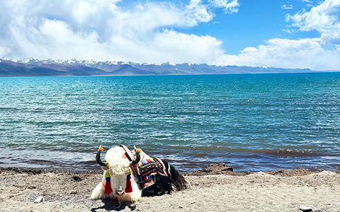 10 Days Lhasa to EBC and Namtso Lake Luxury All-Inclusive Tour