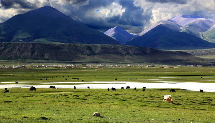 Nagqu Grassland in Northern Tibet