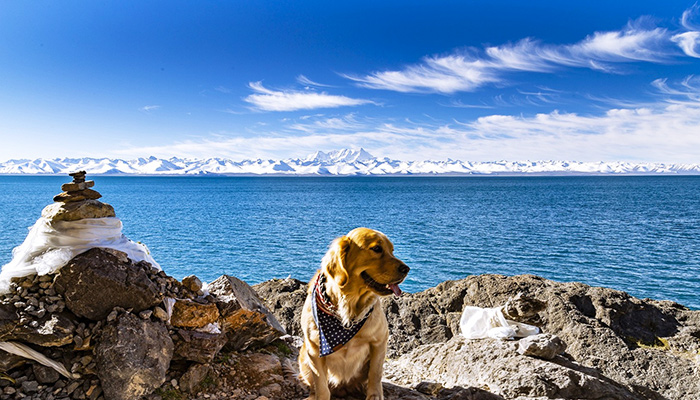Best Time to Visit Namtso