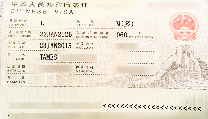  Chinese Visa 