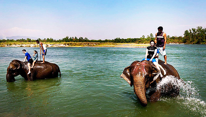  Chitwan National Park 