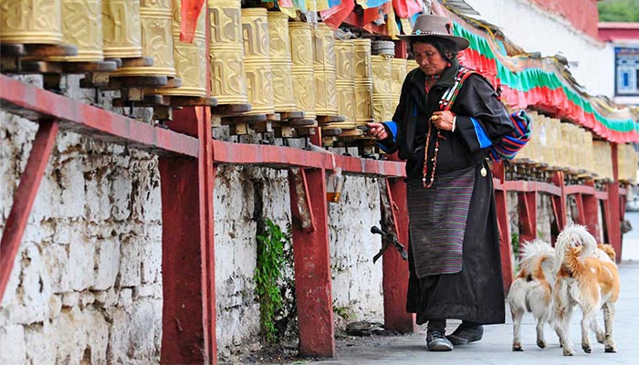 Nepal and Tibet have in common in terms of religion and culture.