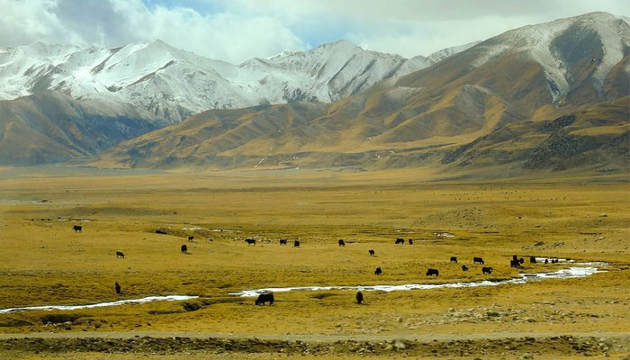 Nagqu
